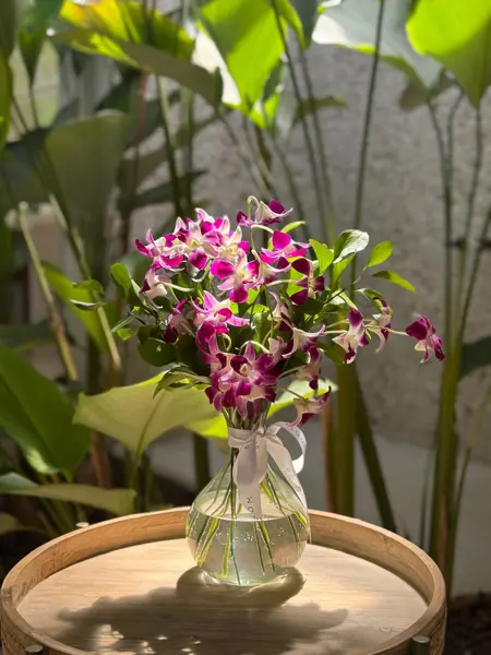 VIDRO COM ORQUÍDEAS DE CORTE DENPHALIS