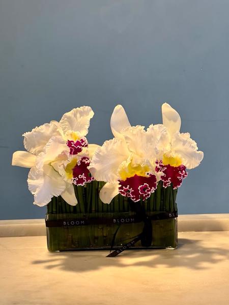 VASO EM VIDRO COM ARRAJO DE ORQUÍDEAS E BASE EM FOLHAGEM CANUDO