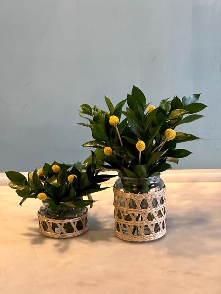 CACHEPOT DE VIDRO COM PALHA  9,00 x13,00 CM E ARRANJO DE FOLHAGENS CACHEPOT DE VIDRO 7,00x 9,00 CM COM PALHA E ARRANJO DE FOLHAGENS 