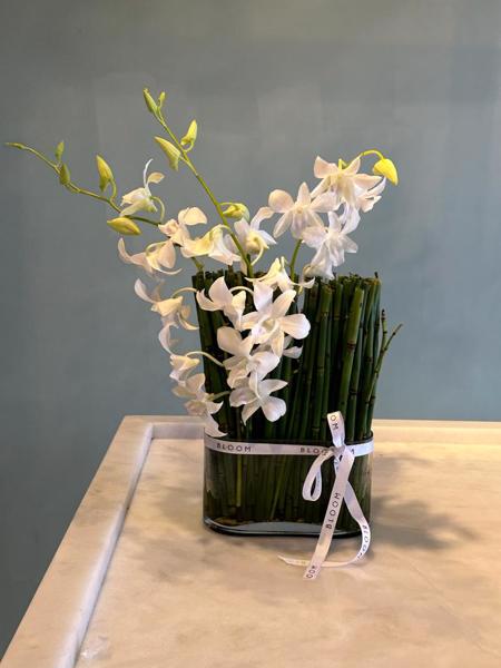 ARRANJO EM VASO DE VIDRO COM ORQUÍDEAS DENPHAL