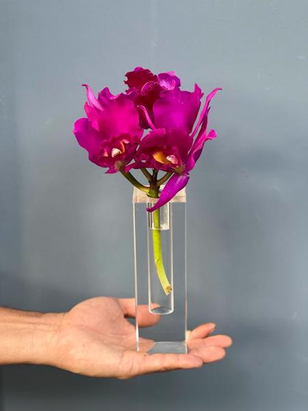 VASO DE CRISTAL P